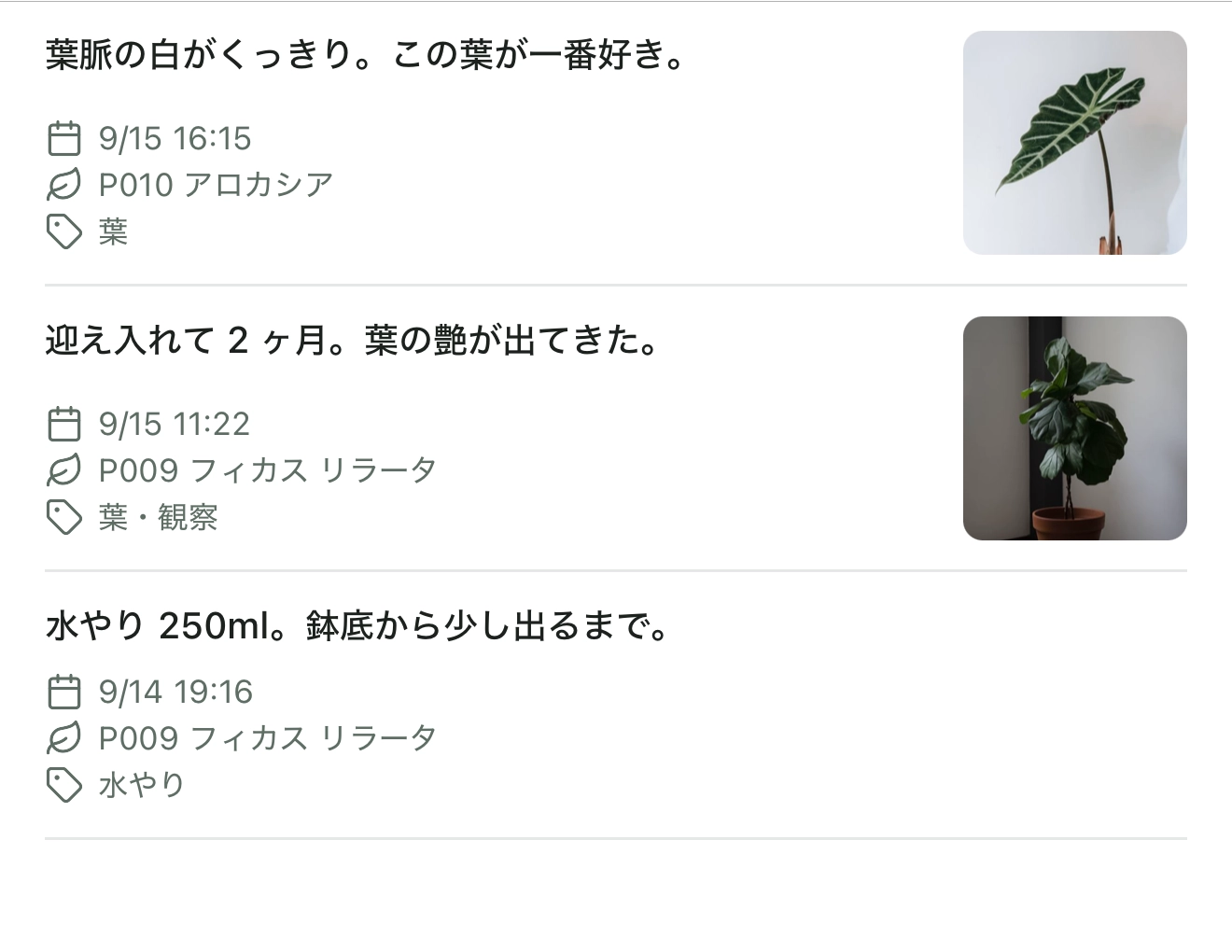Plant Record の記録一覧。本文、日時、株の名前、種別とタグが 1 行ずつ並んでいる